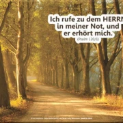 Leinwanddruck der Baumallee mit Bibelvers ‚Ich rufe zu dem HERRN in meiner Not, und er hört mich.‘ – ruhige Baumallee auf weißem Hintergrund, pur ohne Rauminszenierung