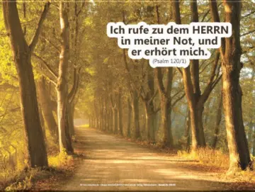 Leinwandbild für Trauerhalle & Ausstellungsraum „Baumallee“