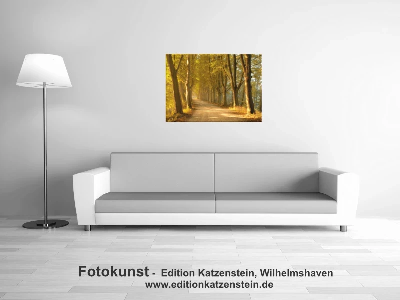 Leinwanddruck der Baumallee ohne Bibelvers an der Wand über Sofa und Stehlampe – eingerichteter Musterraum