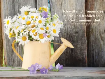 Leinwanddruck: Gießkanne mit Margeriten