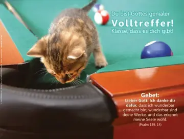 Leinwanddruck Kätzchen auf Billiardtisch