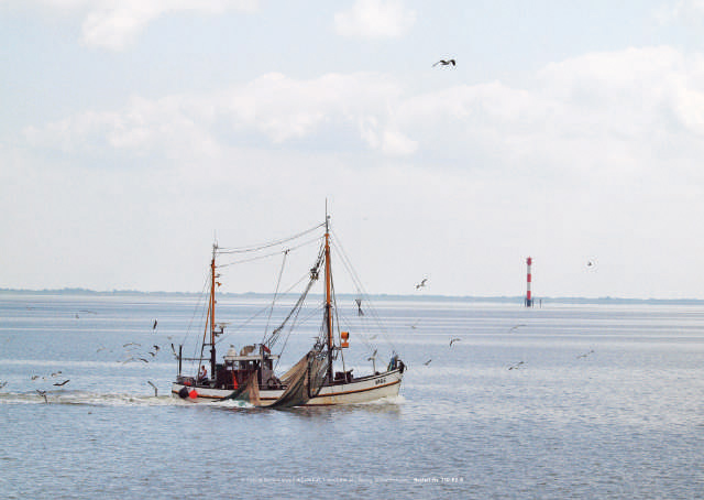 Poster Kutter auf Fangfahrt - Nordsee
