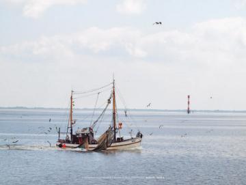 Poster Kutter auf Fangfahrt - Nordsee