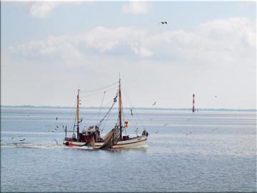 Leinwanddruck: Kutter auf Fangfahrt - Nordsee