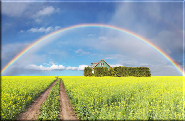 Leinwanddruck: Regenbogen über Rapsfeld tolles Landschaftsmotiv