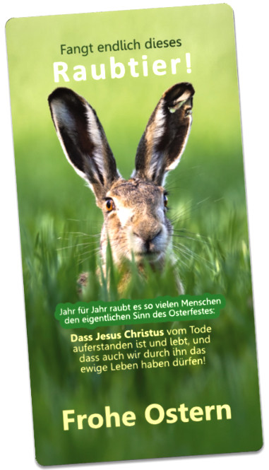 Osterkarte Feldhase im Gras- Maxicard:
