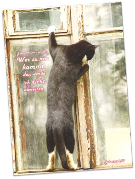 Plakat A2 Jahreslosung 2022 -Am Fenster stehende Katze
