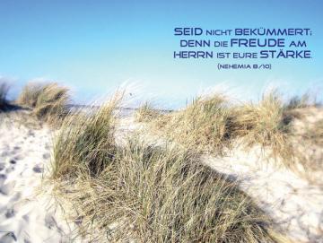 Poster A1: Sommerdüne