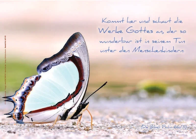 Poster A2 - 14-Stück-Set - 1