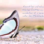 Poster A2 - 14-Stück-Set - 1