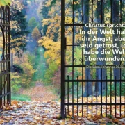 Poster A2 - 14-Stück-Set - 1