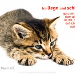 Poster A2 -Set 10 Schaukasten-Poster