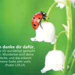 Poster A2 -Set 10 Schaukasten-Poster