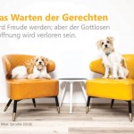 Poster A2 -Set 10 Schaukasten-Poster