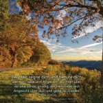 Poster A2 -Set 10 Schaukasten-Poster