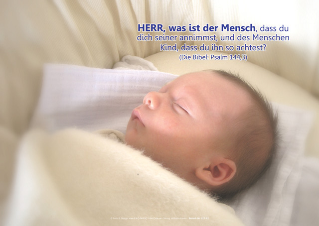Poster A2 -Set 11 - Schaukasten-Plakate