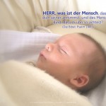 Poster A2 -Set 11 - Schaukasten-Plakate