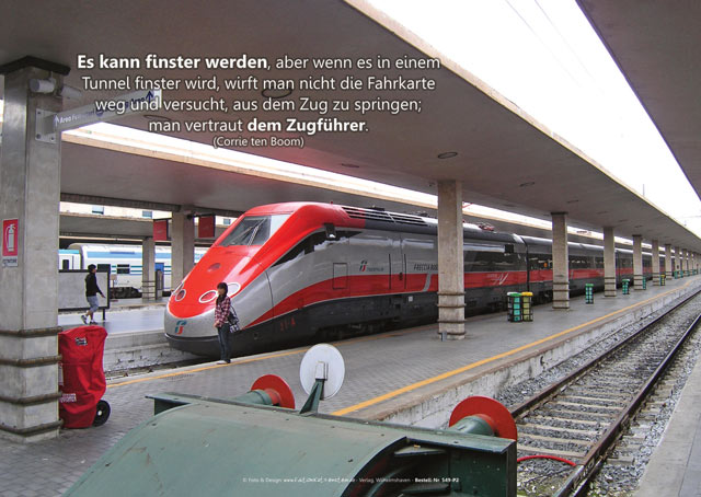 Poster A2 -Set 11 - Schaukasten-Plakate