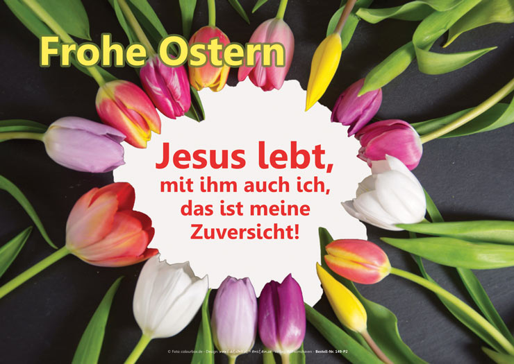 Poster A2 -Set 11 - Schaukasten-Plakate