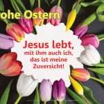 Poster A2 -Set 11 - Schaukasten-Plakate