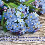 Poster A2 -Set 11 - Schaukasten-Plakate