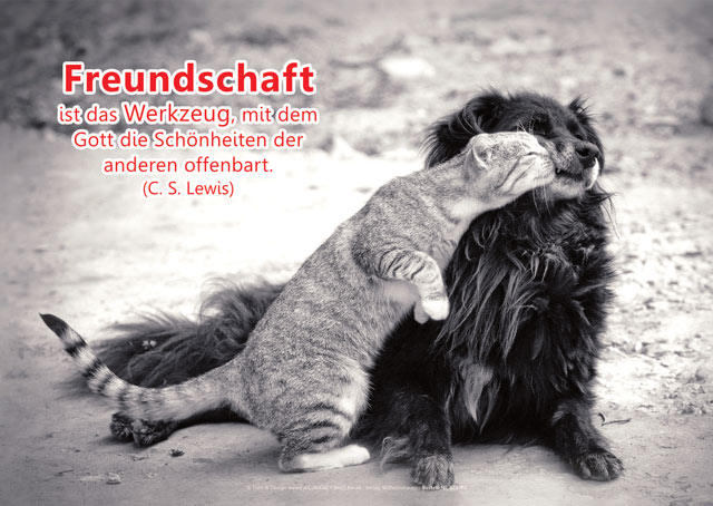 Poster A2 -Set 11 - Schaukasten-Plakate