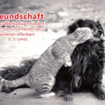 Poster A2 -Set 11 - Schaukasten-Plakate