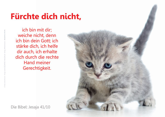 Poster A2 -Set 11 - Schaukasten-Plakate
