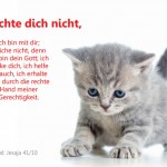 Poster A2 -Set 11 - Schaukasten-Plakate