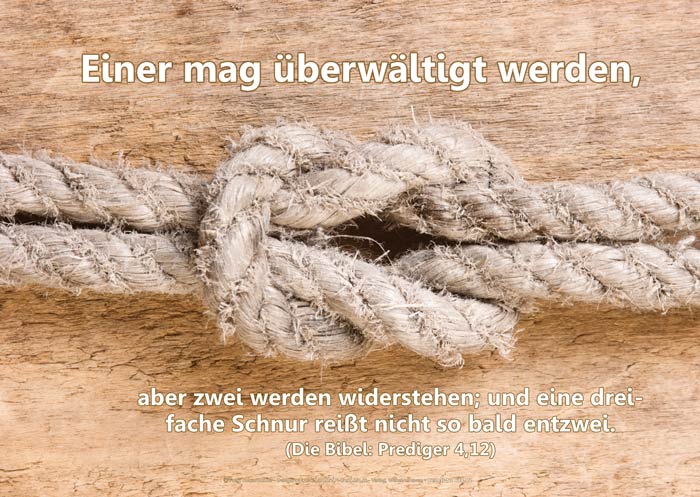 Poster A2 -Set 12 - Schaukasten-Plakate