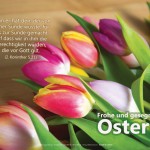 Poster A2 -Set 12 - Schaukasten-Plakate