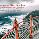 Poster A2 -Set 12 - Schaukasten-Plakate