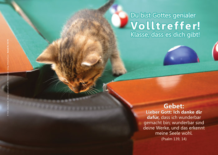 Poster A2 -Set 12 - Schaukasten-Plakate