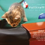 Poster A2 -Set 12 - Schaukasten-Plakate