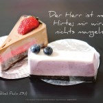 Poster A2 -Set 13 - Schaukasten-Plakate