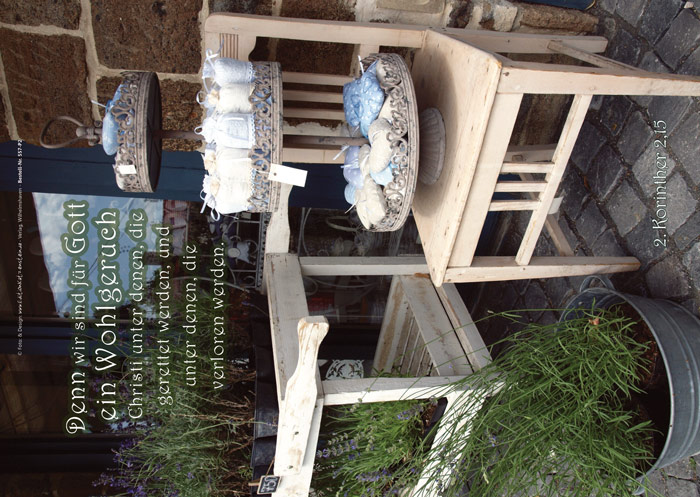 Poster A2 -Set 13 - Schaukasten-Plakate