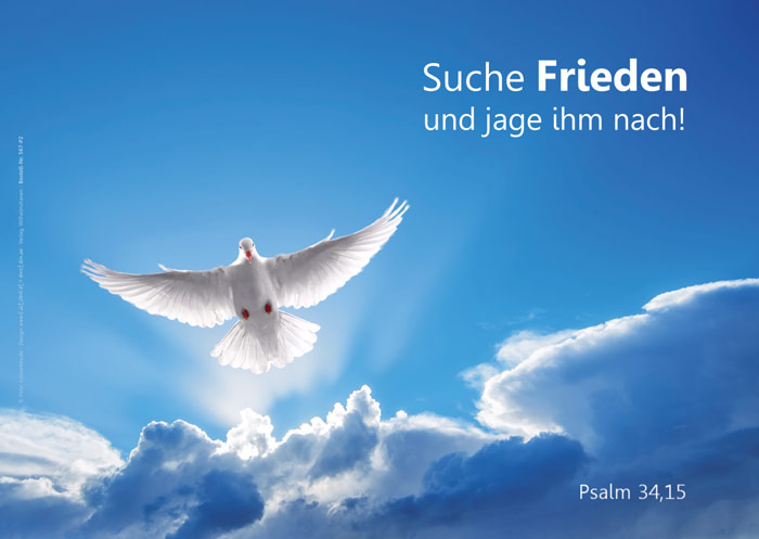 Poster A2 -Set 13 - Schaukasten-Plakate