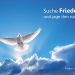 Poster A2 -Set 13 - Schaukasten-Plakate