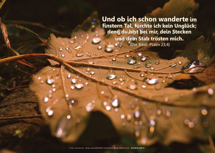 Poster A2 -Set 13 - Schaukasten-Plakate