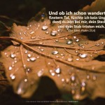 Poster A2 -Set 13 - Schaukasten-Plakate