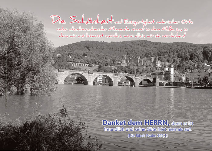 Poster A2 -Set 13 - Schaukasten-Plakate