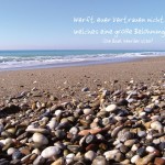 Poster A2 -Set 13 - Schaukasten-Plakate