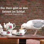 Poster A2 -Set 13 - Schaukasten-Plakate