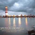 Poster A2 -Set 13 - Schaukasten-Plakate