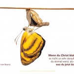 Poster A2 -Set 25 - Zitate Corrie ten Boom