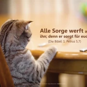 Christliche Poster A2 -Set 14 - Schaukasten-Plakate