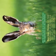 Christliche Poster A2 -Set 14 - Schaukasten-Plakate