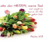 Christliche Poster A2 -Set 14 - Schaukasten-Plakate