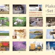 Poster A2 -Set 32 Schaukasten-Plakate
