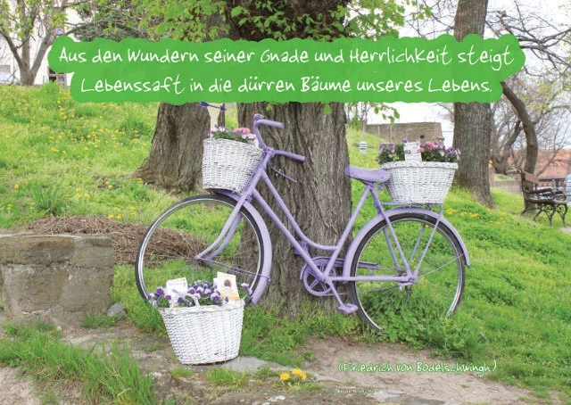 Poster A2 -Set 32 Schaukasten-Plakate
